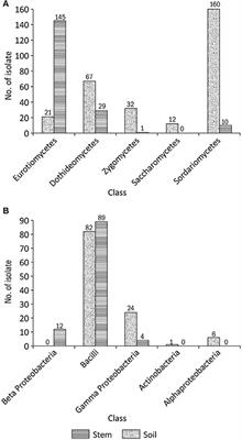 Fungal and Bacterial Diversity Isolated from Aquilaria malaccensis Tree and Soil, Induces Agarospirol Formation within 3 Months after Artificial Infection